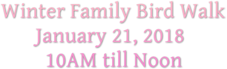 Winter Family Bird Walk January 21, 2018 10AM till Noon