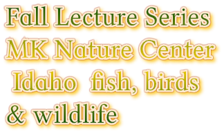 Fall Lecture Series MK Nature Center Idaho fish, birds &amp; wildlife