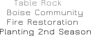 Table Rock Boise Community Fire Restoration Planting 2nd Season