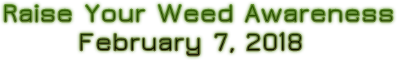 Raise Your Weed Awareness February 7, 2018